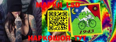 spice Моздок