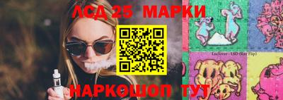 spice Моздок