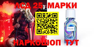 spice Моздок