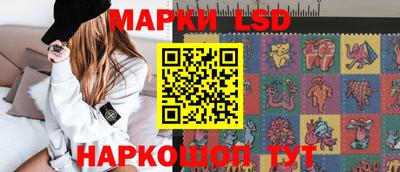 spice Моздок