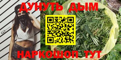 spice Моздок