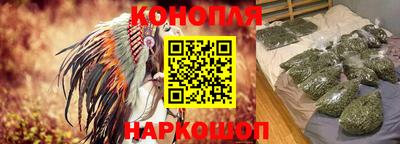 spice Моздок