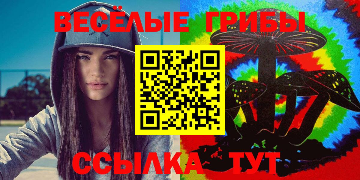 Усть-Илимск  Галлюциногенные грибы Magic Shrooms  Вход с VPN 